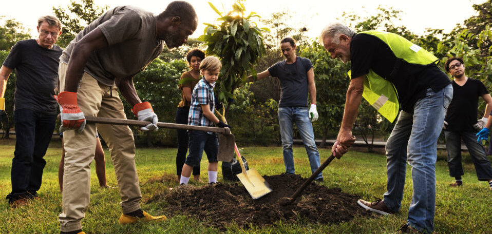 Mehrere Erwachsene und ein Kind pflanzen einen Baum. Sie tragen Arbeitshandschuhe, bereiten das Erdloch vor oder halten den Baum.