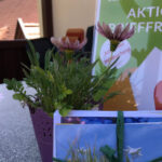 Ein Postkartenstapel liegt vor einem dekorativen Blumentopf auf einem Tisch, dahinter ein kleiner Tischaufsteller zur Aktion Brieffreude