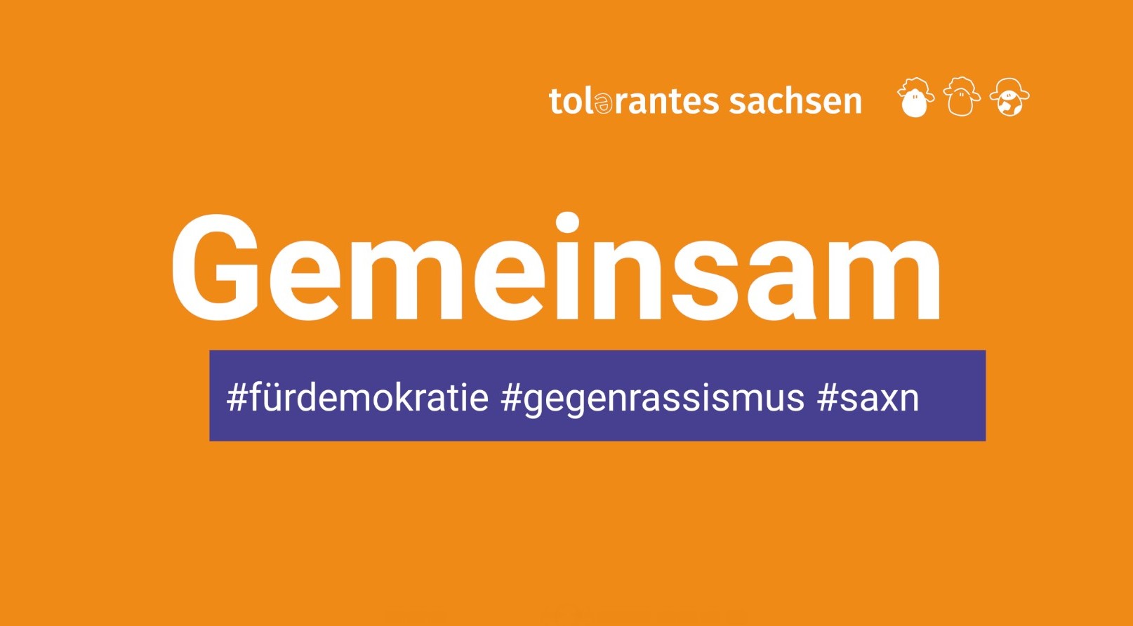 Social Media Logo des Netzwerks Tolerantes Sachsen